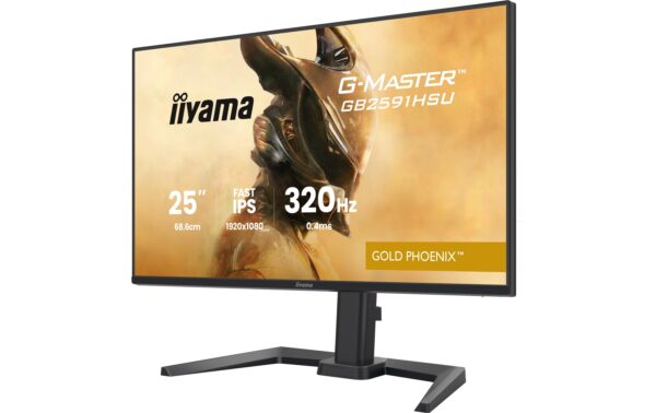 2033702_4 - Mediatech IIYAMA 25 GB2591HSU-B1 HDMI, DP