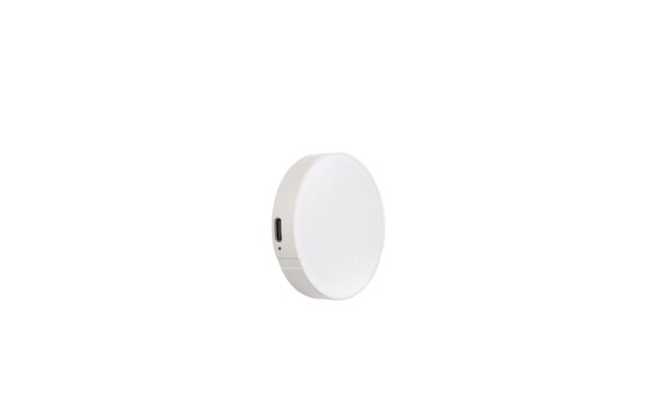 Godox LR15BI Handheld LED Light 