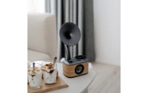 2099995_2 - Mediatech Sangean CP-100D Lightwood-Grey Mini DAB+/FM Radio, BT, Horn speaker
