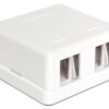 Delock Keystone Leergehäuse 2 Port Kunststoff, weiss
