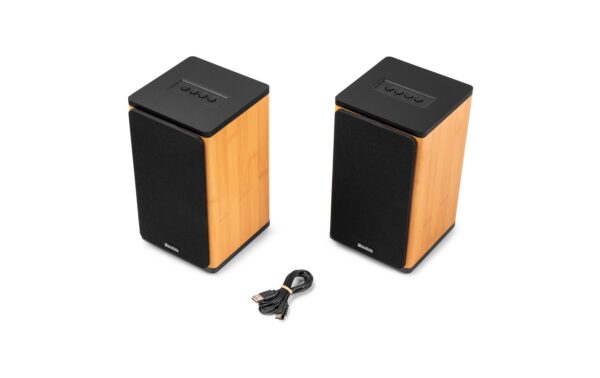 Audizio BS20-BM Regal-Speaker Set, 50W, BT, Akku, bamboo