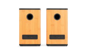 Audizio BS20-BM Regal-Speaker Set, 50W, BT, Akku, bamboo