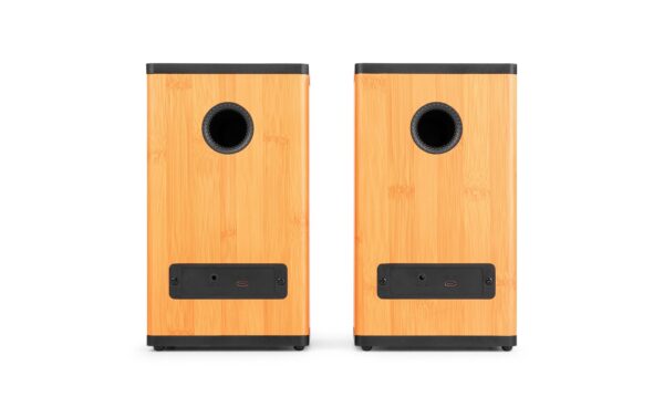 Audizio BS20-BM Regal-Speaker Set, 50W, BT, Akku, bamboo