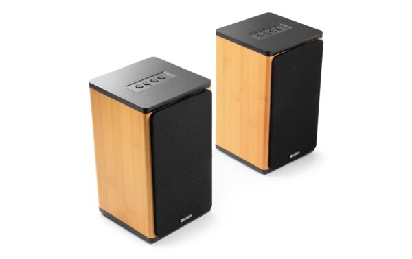 Audizio BS20-BM Regal-Speaker Set, 50W, BT, Akku, bamboo