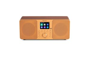 Audizio Genua-CU DAB+/FM Radio mit Bluetooth, Stereo, Kupfer kaufen Schweiz | Mediatech.ch