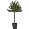 2139554 - Mediatech Weihnachtsbaum Tallis Indoor, Grün, 100cm