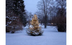 2139586_1 - Mediatech Christmas Tree Light Shiny IP44 Warmweiss 360 LEDs, 200 cm