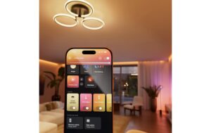 Philips Hue wired dimmer switch 1C EU