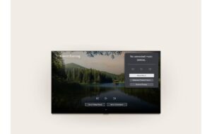 2191516 - Mediatech LG TV 115QNED93B6, 115 LED-TV, UHD QNED, MiniLED kaufen Schweiz | Mediatech.ch