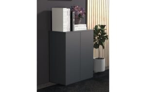 VCM Schrank Dalosa 2-Fach Anthrazit