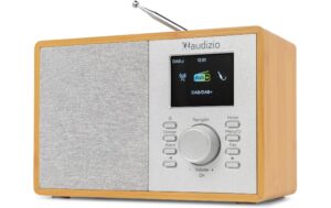 2210779_7 - Mediatech Audizio Cosa-LWD Internetradio, DAB+, Bluetooth, DSP, LW