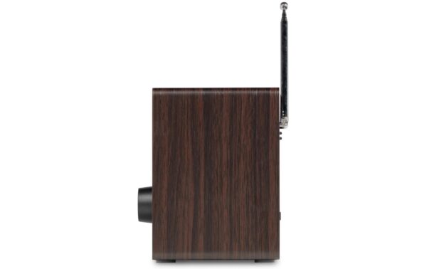 2210781_6 - Mediatech Audizio Cosa-DWD Internetradio, DAB+, Bluetooth, DSP, DW