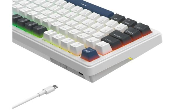 2216338_2 - Mediatech Deltaco DK480 GAM-205-W-CH, White Hot Swap, CH Layout