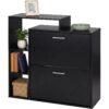 2226905 - Mediatech Relaxdays Schuhschrank mit 2 Klappen Schwarz