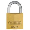 ABUS 65/25 vs. Vorhangschloss