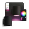 Philips Hue Muscari Wandspot White & Col. Amb.