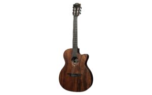 LAG Guitars SAUVAGE-N-ASCE Cutaway Auditorium kaufen Schweiz | Mediatech.ch