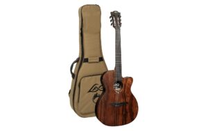LAG Guitars SAUVAGE-N-ASCE Cutaway Auditorium