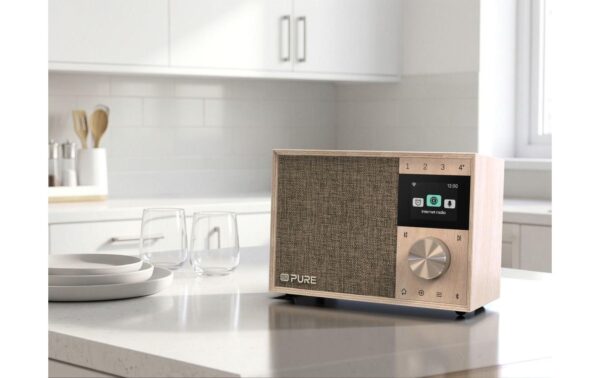 Pure DAB+ Radio Evoke One Birch