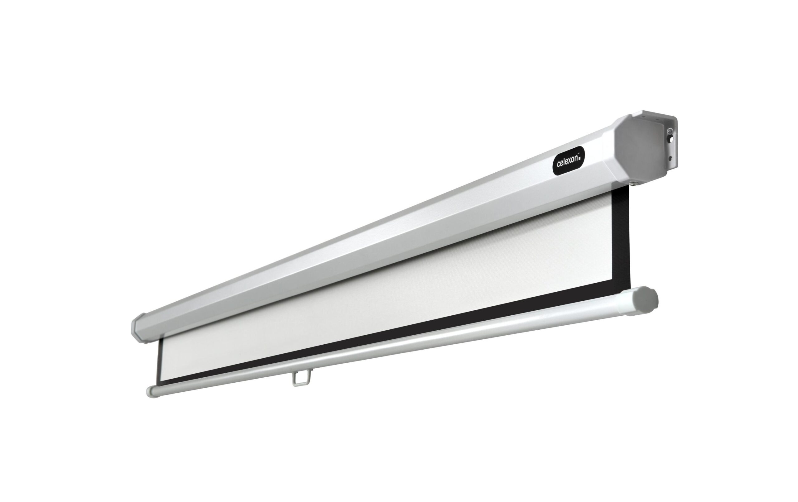 386510 - Mediatech Celexon, Rollo Economy, Leinwand, 1:1 manuell, 300x300cm