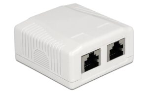 Delock RJ-45 Cat.6A Gehäuse: 2 Port Weiss, LSA Anschluss für Installationskabel