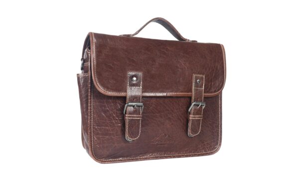 Alpenleder Kameratasche Reporter brandy, Leder