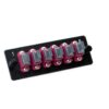 MTP Adapter Platte 06xMTP Adapter, magenta