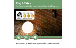 Paulmann Controller Zigbee max. 75W 24V IP68, 2.6m, Kunststoff Schwarz